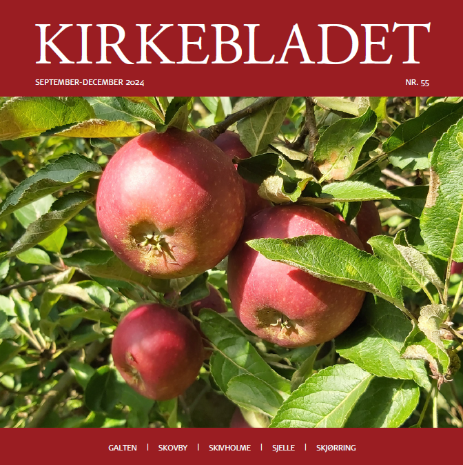 Forside af efterårsudgaven 2024